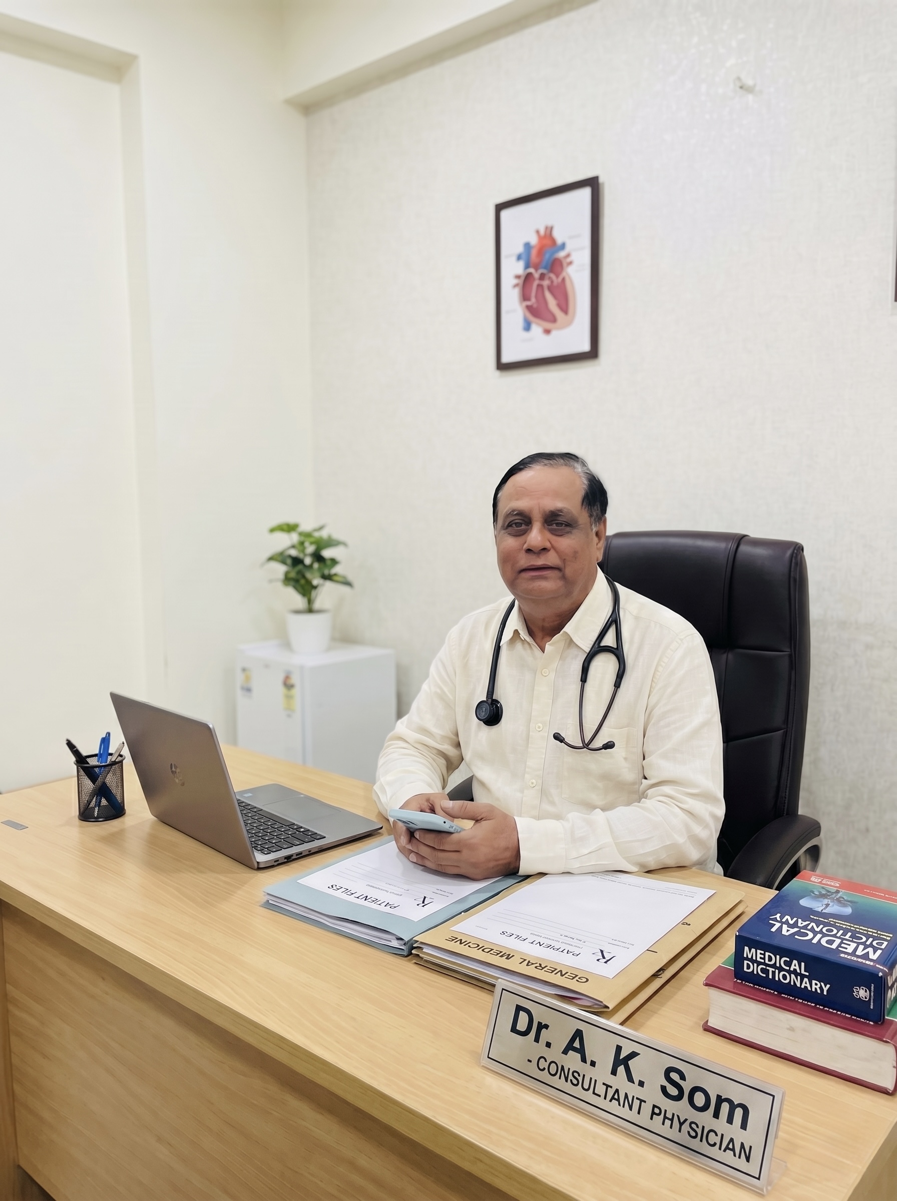 Professional doctor portrait